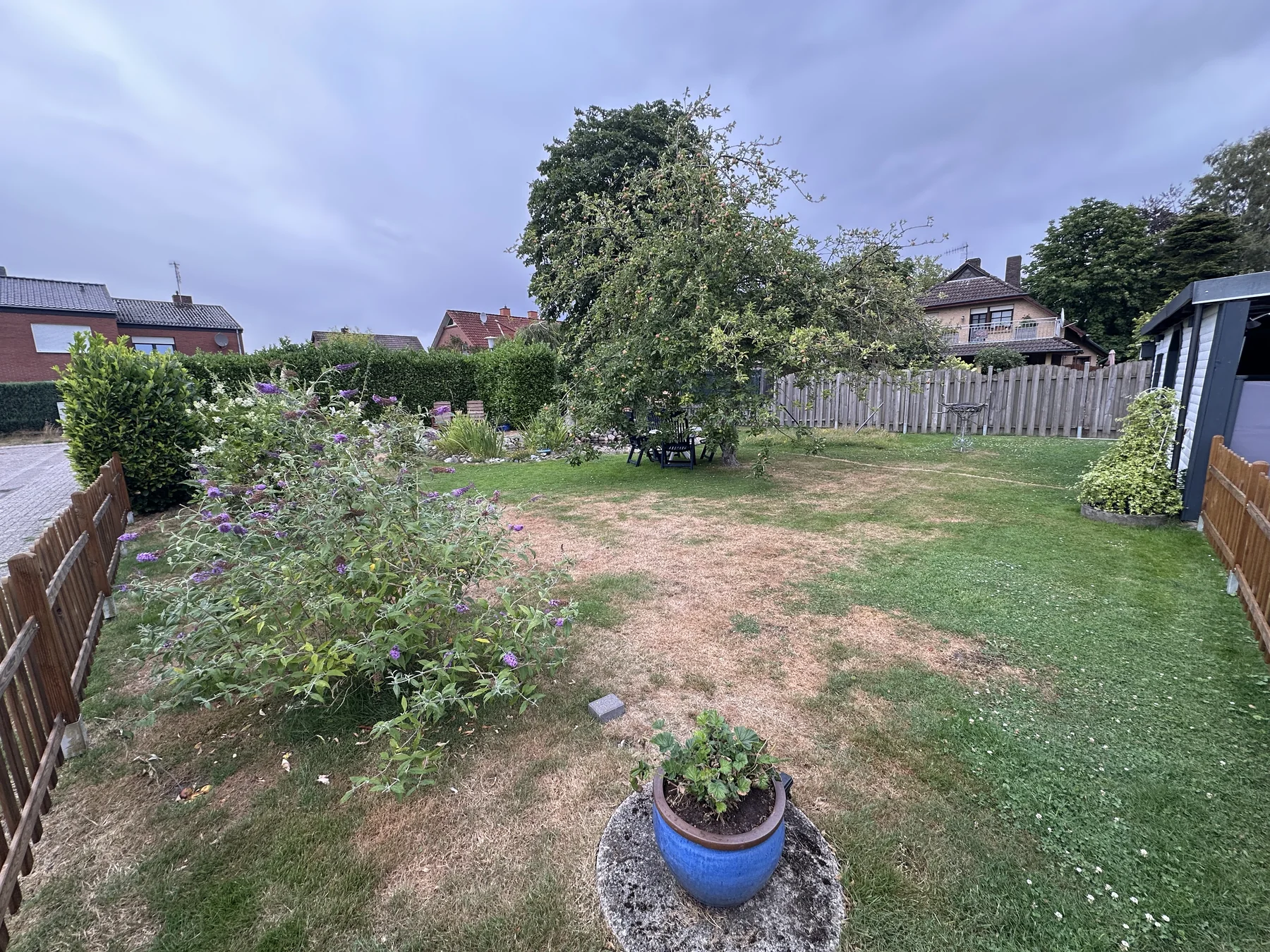 Nachher: Ecke am Gartenteich