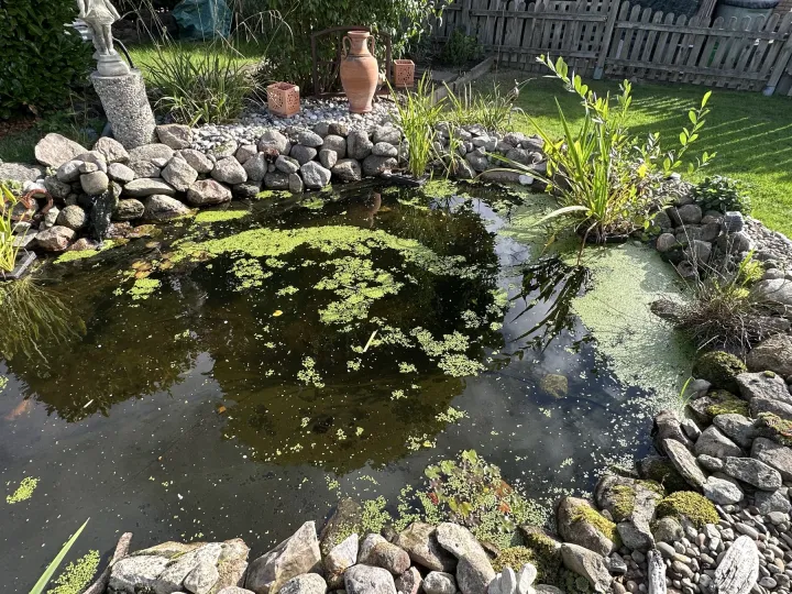 Spätsommer bei uns – ein Rundgang durch den Garten