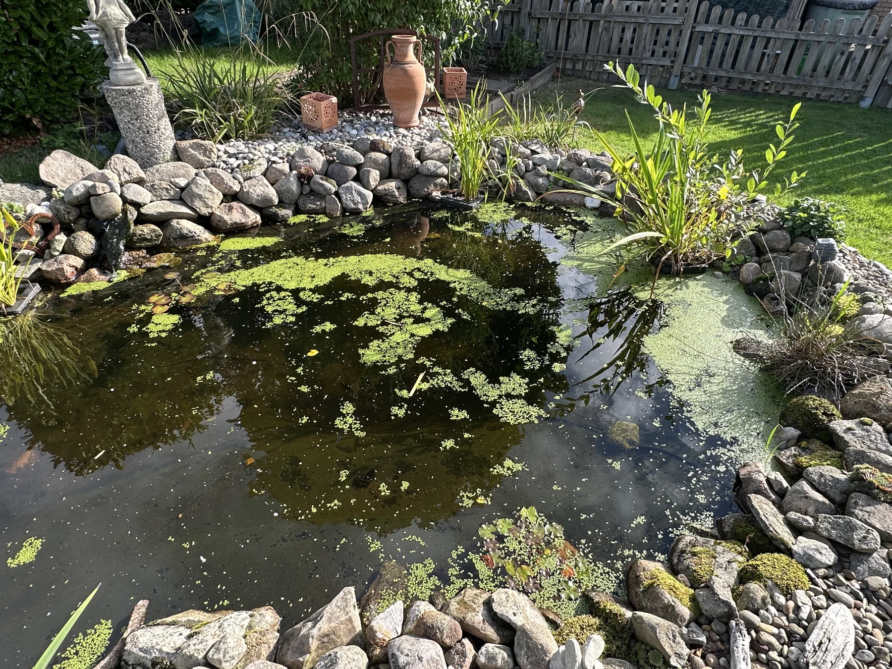 Spätsommer bei uns – ein Rundgang durch den Garten